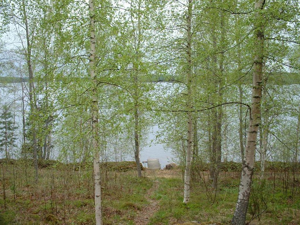 Вилла Pitkaeniemen Lomamoekit Joutsa Экстерьер фото